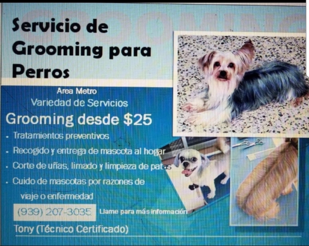 Servicio de Grooming Perros en San Juan, Puerto Rico, Clasitronicos