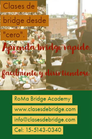 Imagen publicada de RoMa Bridge
