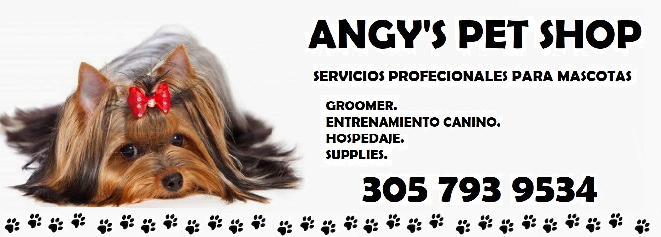 Imagen publicada de ANGY PET