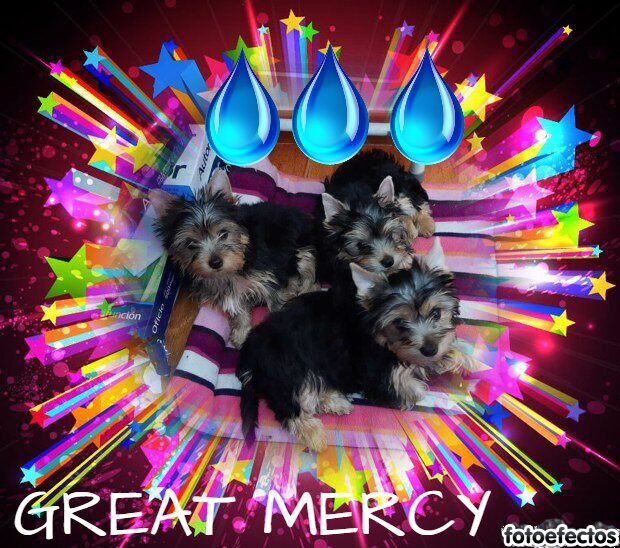 Imagen publicada de GREAT MERCY