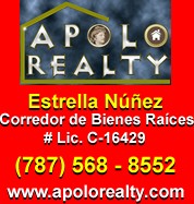 Apolo Realty